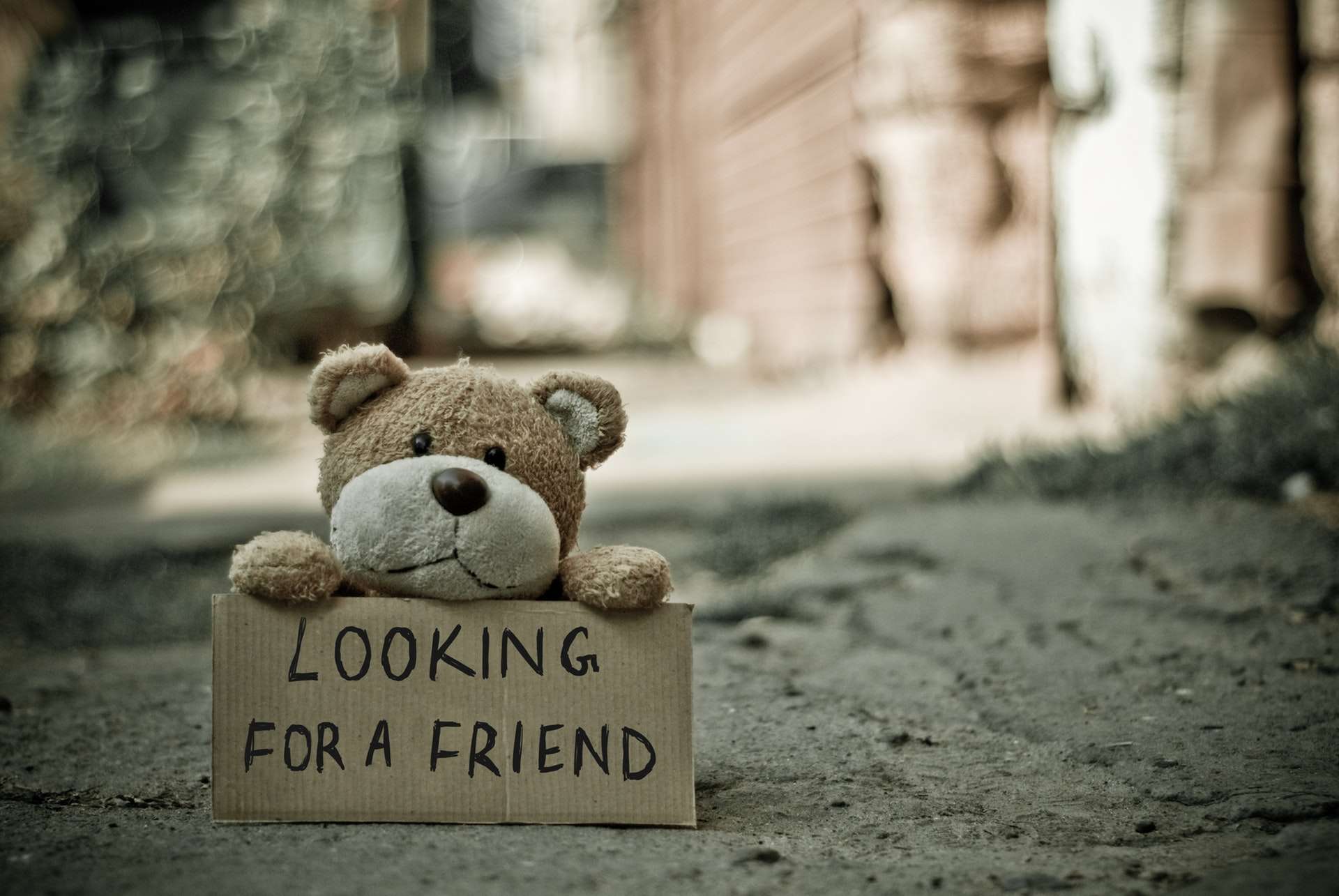 Science Says Loneliness is Killing You: So Make New Friends!
