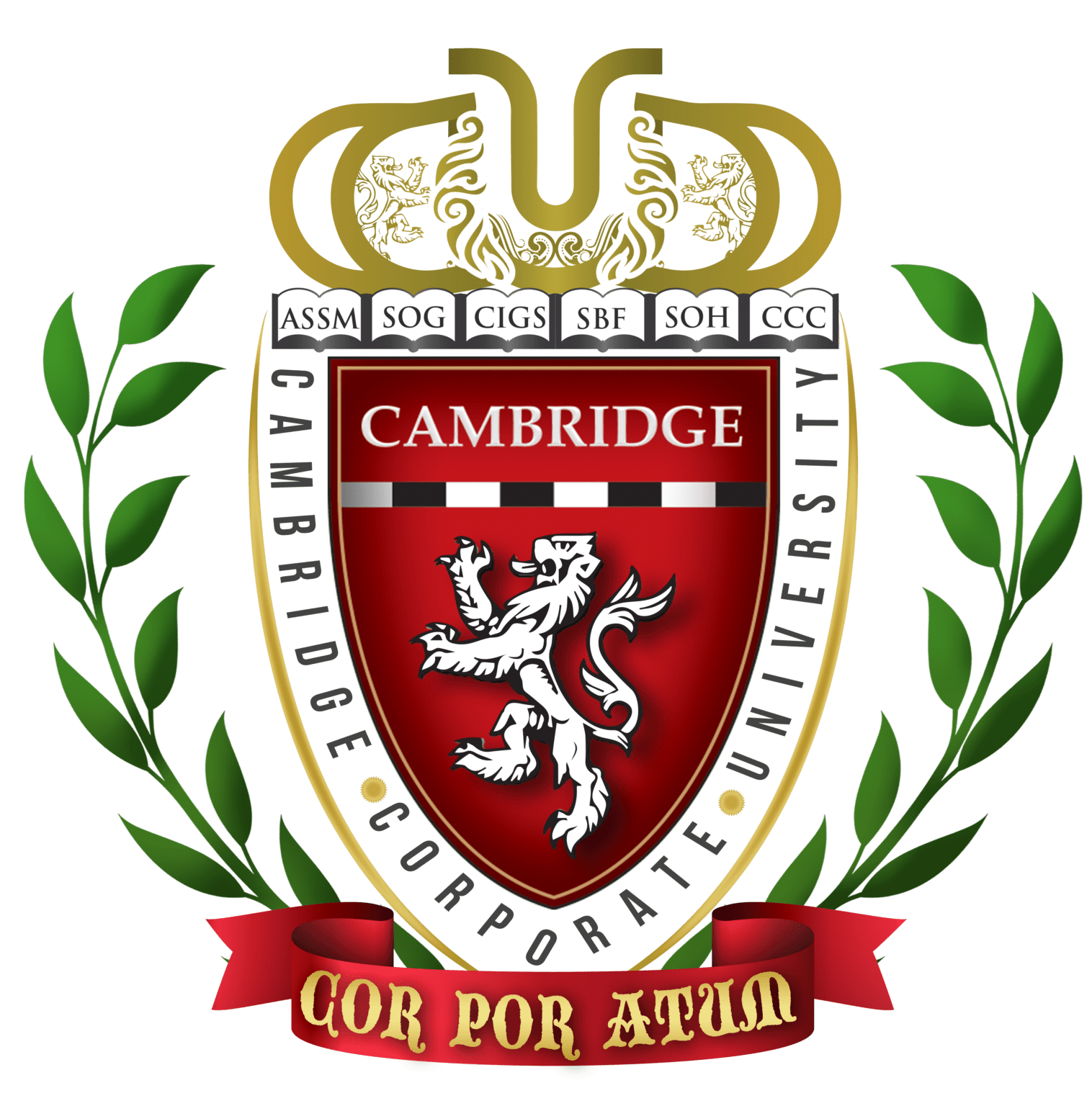 ccu university