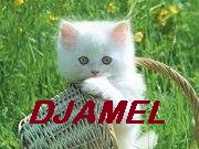 djamel